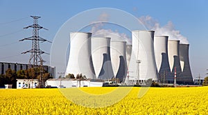 Nuclear power plant, cooling tower, field of rapeseed