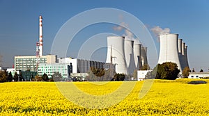 Nuclear power plant, cooling tower, field of rapeseed
