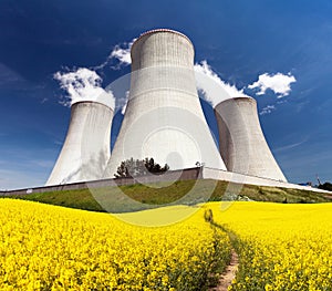 Nuclear power plant Dukovany with golden flowering field