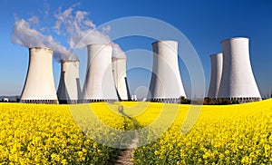 Nuclear power plant and field of rapeseed