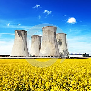 Nuclear power plant and field of rapeseed