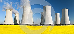 Nuclear power plant with field of rapeseed