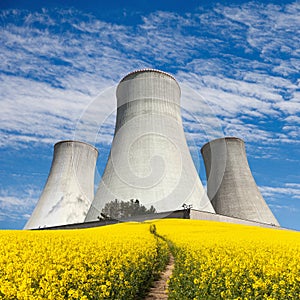 Nuclear power plant and field of rapeseed