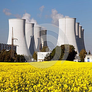 Nuclear power plant and field of rapeseed