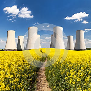 Nuclear power plant, field of rapeseed, canola or colza
