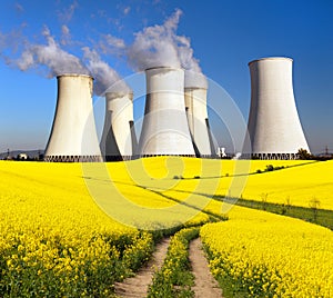 Nuclear power plant with flowering field of rapeseed