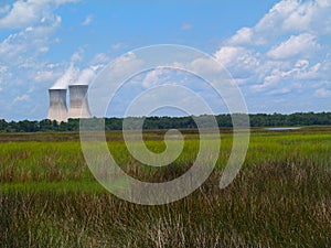 Nuclear Power Plant Next to a Florida Marsh