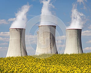 Nuclear power plant with rapeseed field
