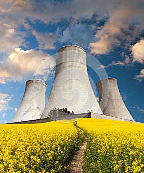 Nuclear power plant with rapeseed field