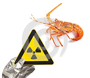 a nuclear radiation warning sign and a lobster concept of unsafe seafood