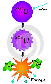 Nuclear reaction