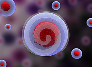 nucleolus, nucleus, 3d stem cell.