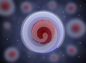 nucleolus, nucleus, 3d stem cell.