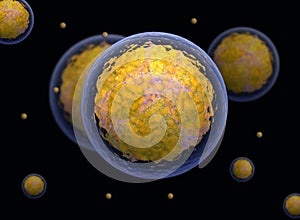 nucleolus, nucleus, 3d stem cell.