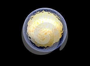 nucleolus, nucleus, 3d stem cell.