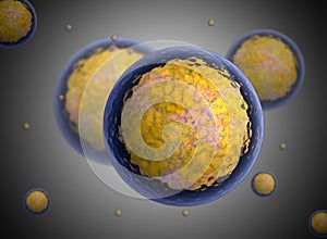 nucleolus, nucleus, 3d stem cell.