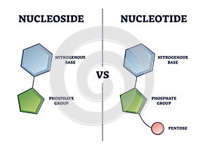 Nucleoside vs Nucleotide compound differences comparison outline diagram