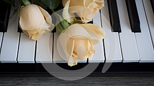 Nude roses on black and white piano keys, international womens day, mothers day, romance, love, flowers