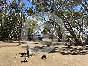 Nudgee Beach