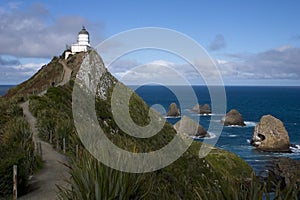 Nugget Point