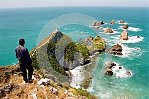 Nugget Point Lighthouse, New Zealand