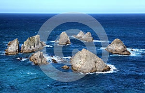 Nugget Point, New Zealand