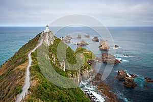 Nugget Point, NZ