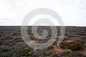 Nullarbor Plain