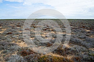 Nullarbor Plain