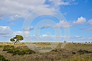 The Flat landscape of the Nullarbor Plain from West to east Australia