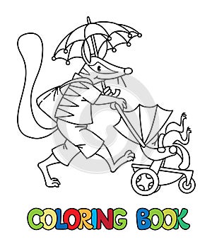 Numbat nanny ABC coloring book. Alphabet N