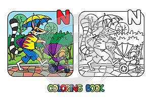 Numbat nanny ABC coloring book. Alphabet N