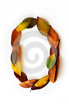 Number 0 of colorful autumn leaves. Number zero mades of fall foliage. Autumnal design font concept.