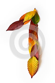 Number 1 of colorful autumn leaves. Cardinal number one mades of fall foliage. Autumnal design font concept. Seasonal decorative