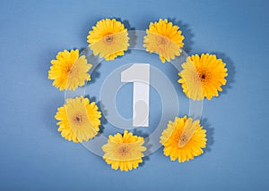 Number 1 surrounded with yellow gerbera flowers on blue background.