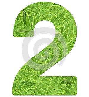 Number 2 with fern texture, isolated on white background, font Helvetica World, bold
