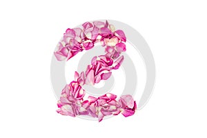 number 2 made from pink petals rose. Pink roses. Element for decoration.