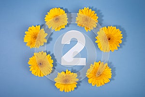 Number 2 surrounded with yellow gerbera flowers on blue background.