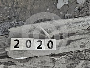 number 2020 written on wooden blocks