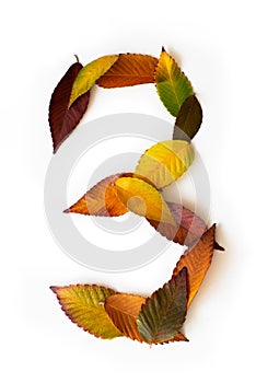 Number 3 of colorful autumn leaves. Cardinal number three mades of fall foliage. Autumnal design font concept.