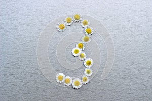 Number 3 of the daisy flower on a gray background