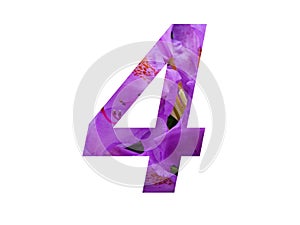 Number 4 of the alphabet made with pink flower of Rhododendron