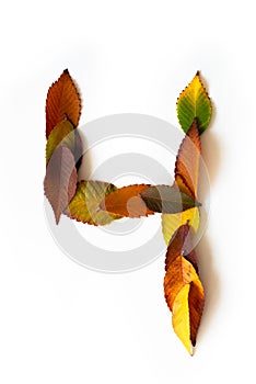 Number 4 of colorful autumn leaves. Cardinal number four mades of fall foliage. Autumnal design font concept.