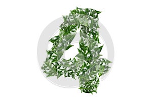 Number 4 made of fresh green leaves on white background