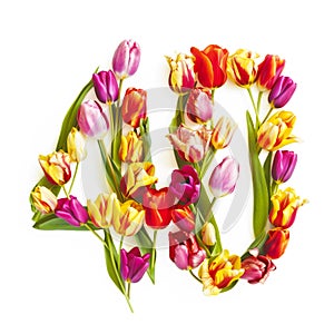 Number 40 Made of Tulips Isolated
