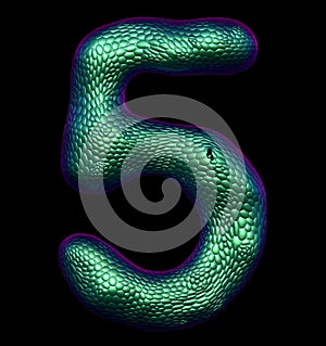 Number 5 five made of natural green snake skin texture isolated on black