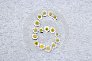 Number 6 of the daisy flower on a gray background