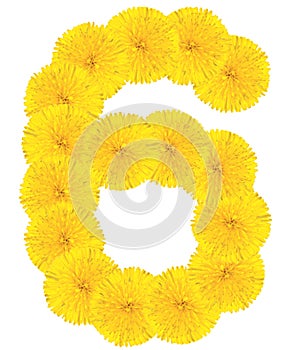 Number 6 made from dandelion flower