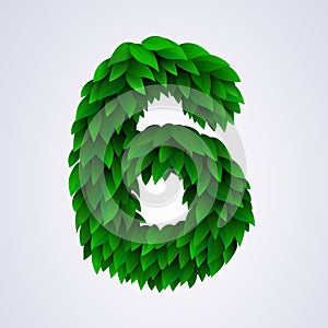 Number 6 made of green leaves.