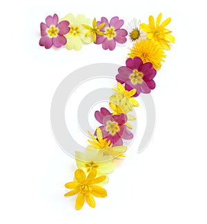 number 7 made from freshly picked yellow and pink flowers.
